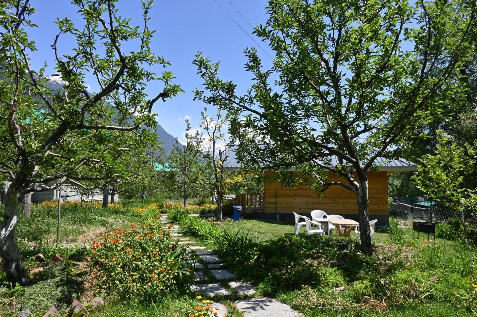 Cascade Mountain Retreat Manali Bed & Breakfast Luaran gambar